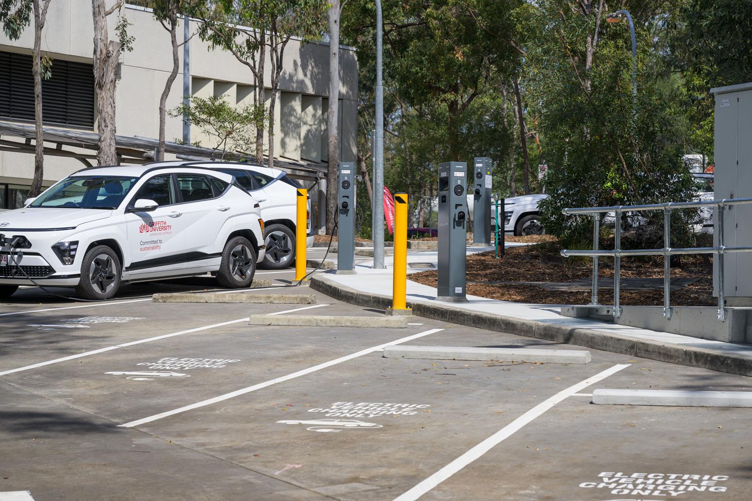 Evse Griffith2024 0089 (copy)